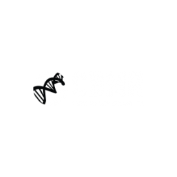 CMBR