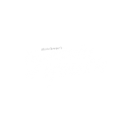 FOUNTAIN OF YOUTH