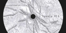 SPAZIO 013