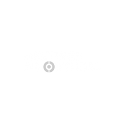 meetings in portugal