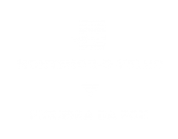 montemor figueira